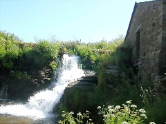 DSCN4029 DSCN4029