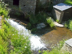 DSCN4034 DSCN4034