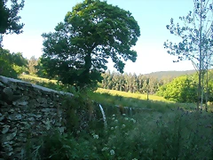 DSCN4052 DSCN4052