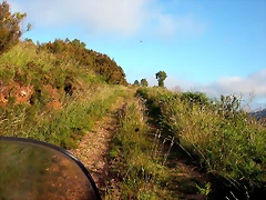 DSCN4093 DSCN4093