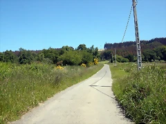 DSCN3995 DSCN3995