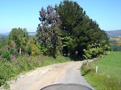 DSCN4009 DSCN4009