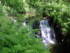 DSCN4021 DSCN4021