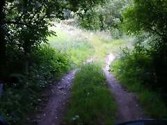 DSCN4088 DSCN4088