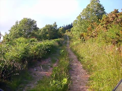DSCN4095 DSCN4095