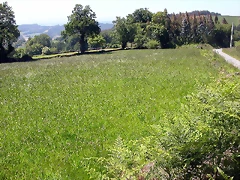 DSCN3997 DSCN3997