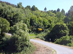 DSCN4012 DSCN4012