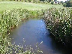 DSCN4031 DSCN4031