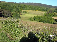 DSCN4054 DSCN4054