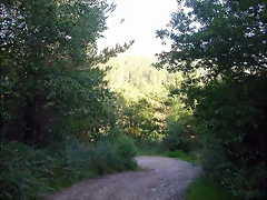 DSCN4081 DSCN4081
