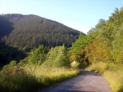 DSCN4065 DSCN4065
