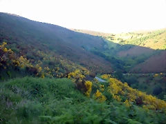 DSCN4122 DSCN4122