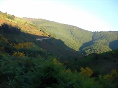 DSCN4124 DSCN4124