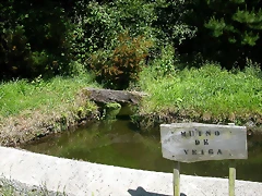 DSCN4018 DSCN4018