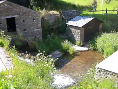 DSCN4033 DSCN4033