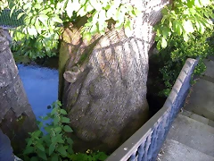 DSCN4056 DSCN4056
