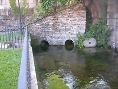 DSCN4058 DSCN4058