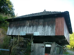DSCN4078 DSCN4078