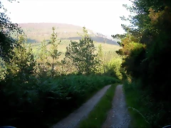DSCN4080 DSCN4080