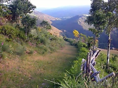 DSCN4100 DSCN4100