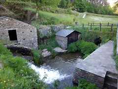 DSCN2409 DSCN2409