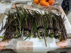IMG_20180421_124649