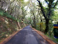 DSCN9837 DSCN9837