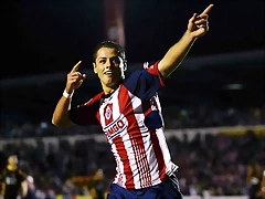 Javier Chicharito
