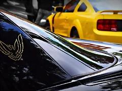 DSC_0879 DSC_0879