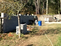 IMG-20171014-WA0009 IMG-20171014-WA0009