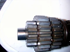 DSCN0734