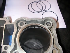 DSCN0813 DSCN0813