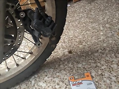 48339964_1931432450309829_6478051219246940160_n 48339964_1931432450309829_6478051219246940160_n