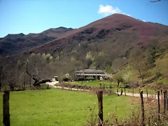 DSCN3951 DSCN3951