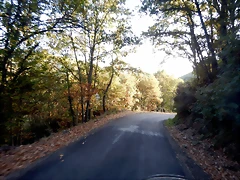 DSCN8629