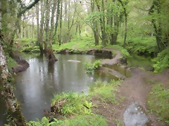 DSCN4185 DSCN4185