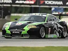 Jaguar XK-R RSR 06