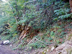 DSCN9172 DSCN9172
