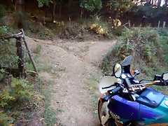 DSCN9066 DSCN9066