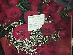 Regalo Mar?a 8 Regalo Mar?a 8