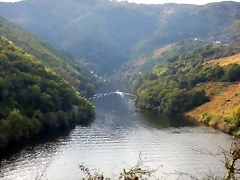 DSCN9834 DSCN9834