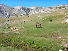 DSCN8452 DSCN8452