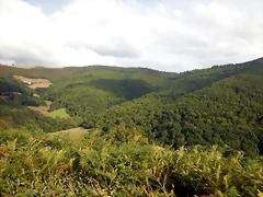 DSCN4417 DSCN4417