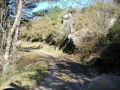 DSCN7932 DSCN7932