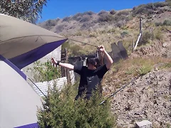 Armando la Carpa Armando la Carpa