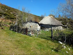 DSCN9570 DSCN9570