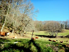 DSCN3634