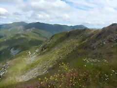 DSCN3941 DSCN3941