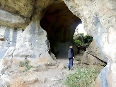 DSCN6541