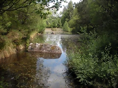 DSCN5353 DSCN5353